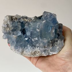 Drusa Celestina grande