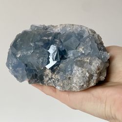 Drusa Celestina grande