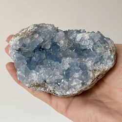 Drusa Celestina mediana