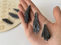 Escoba de Bruja Taramita