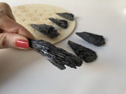 Escoba de Bruja Taramita
