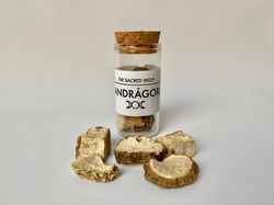 Mandrágora