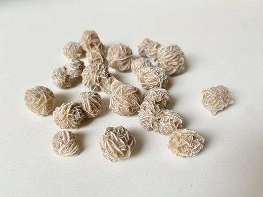 Mini Rosa del Desierto blanca
