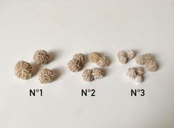 Mini Rosa del Desierto blanca