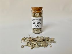 Salvia